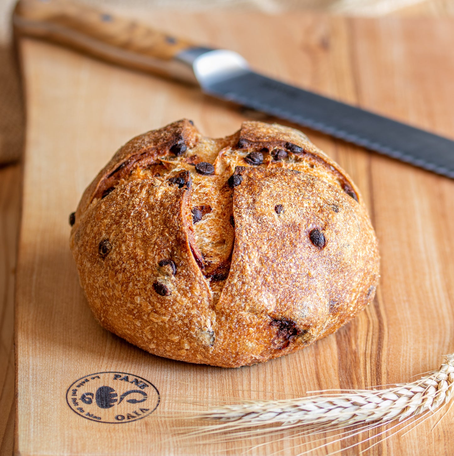 Le pain abricot chocolat de Pane Vivo