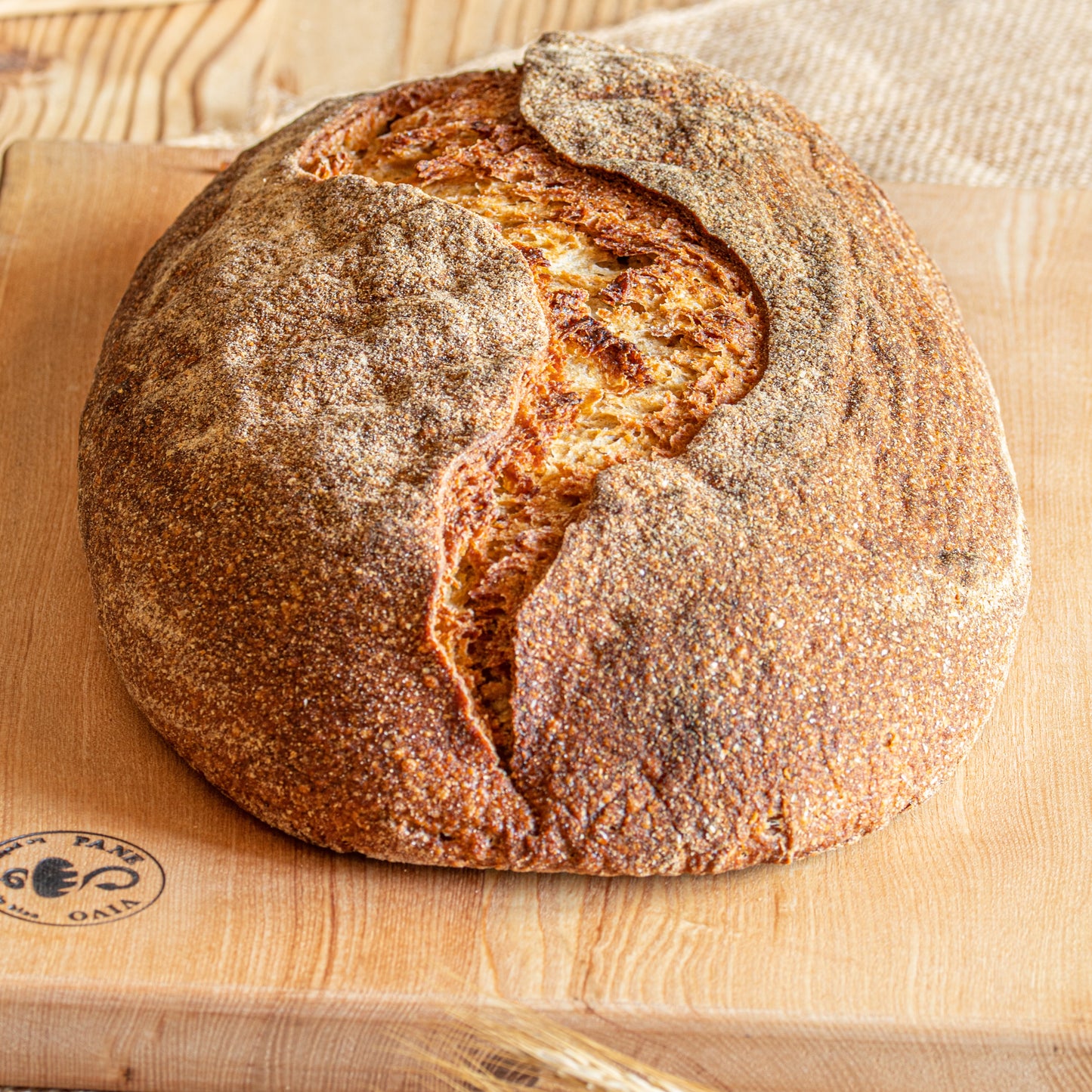 Sapiens à expédier 2kg