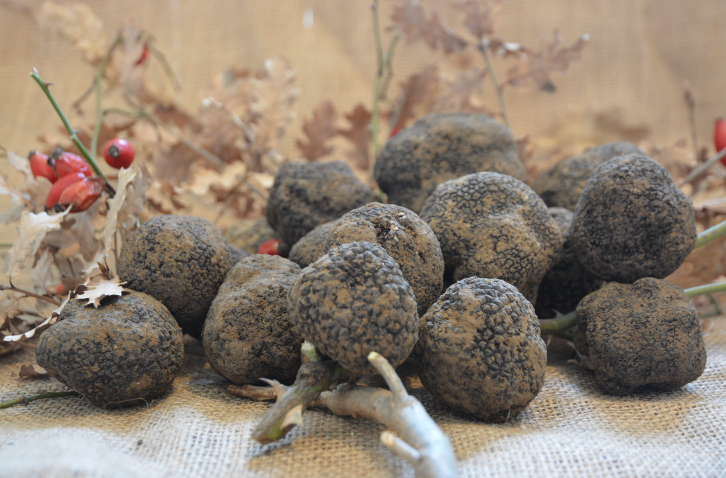 Sauce à la truffe bio d'Italie