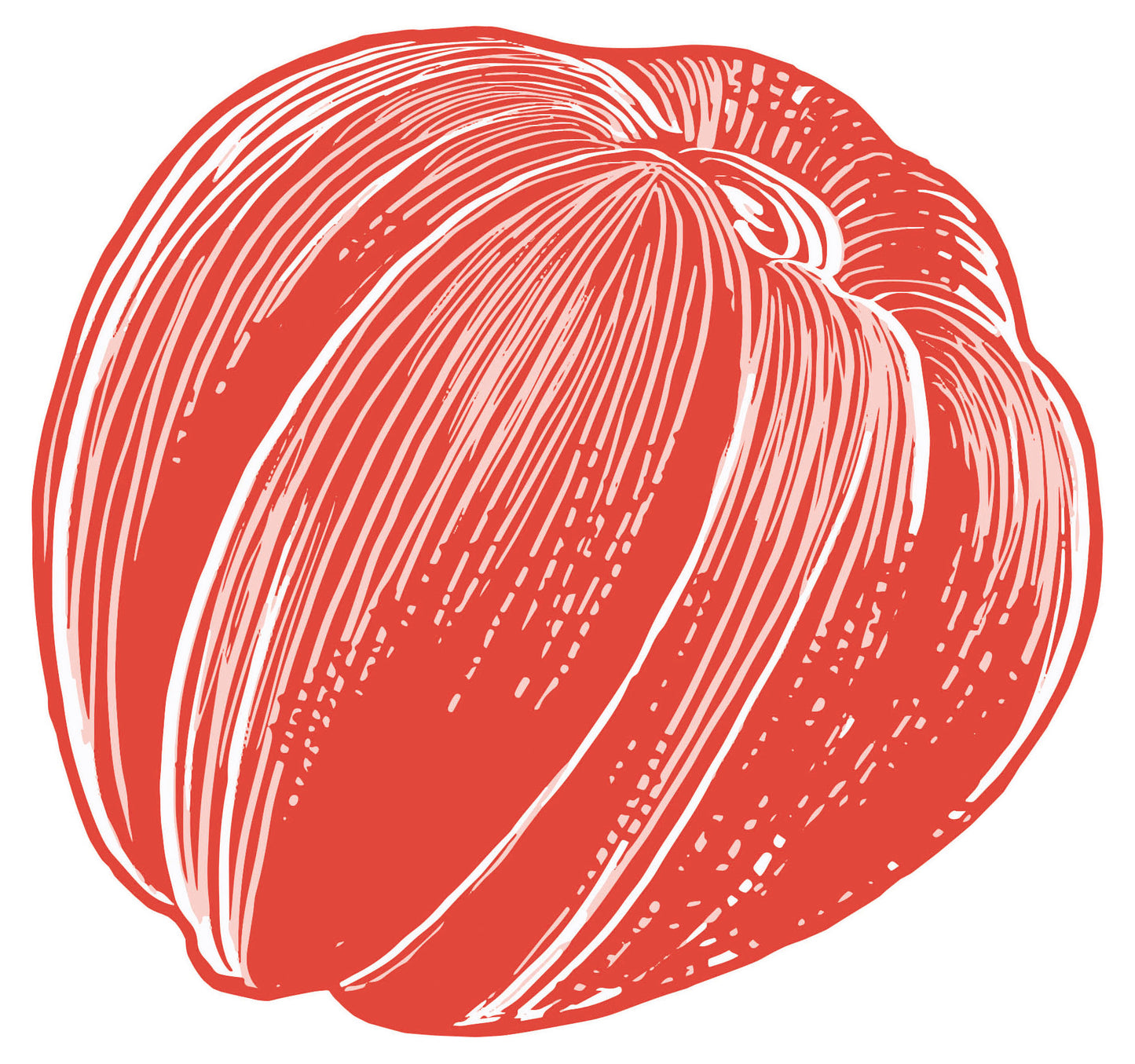 Sauce tomate Costoluto Genovese