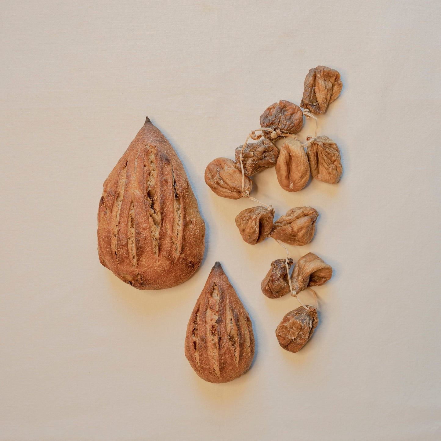 Figata 260g