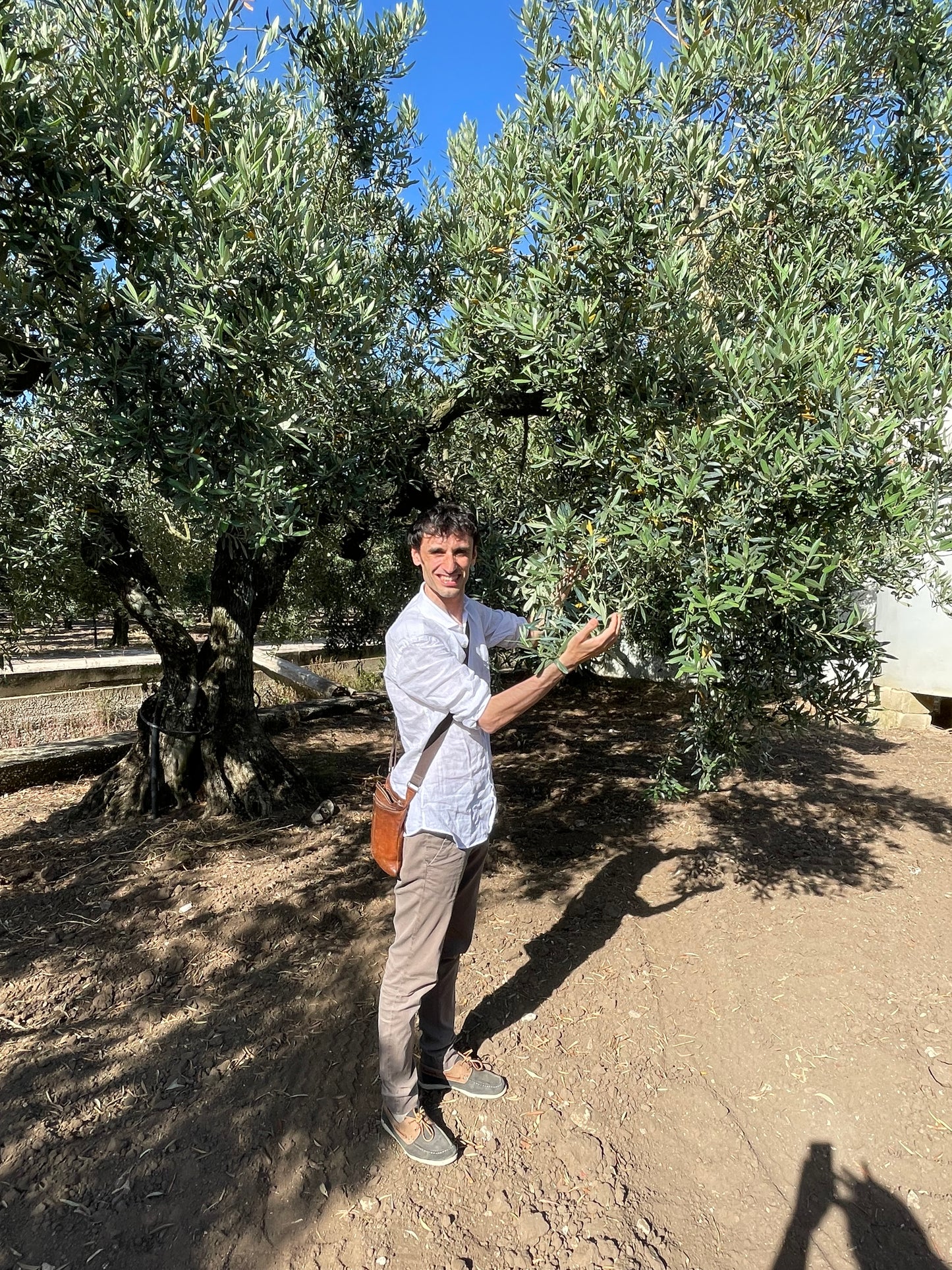 Huile d'olive en céramique de la côté amalfitaine