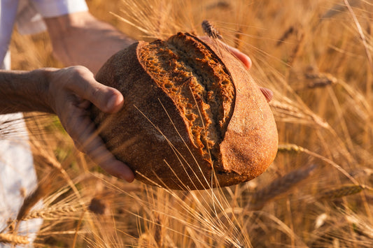 Comment bien conserver son pain vivant