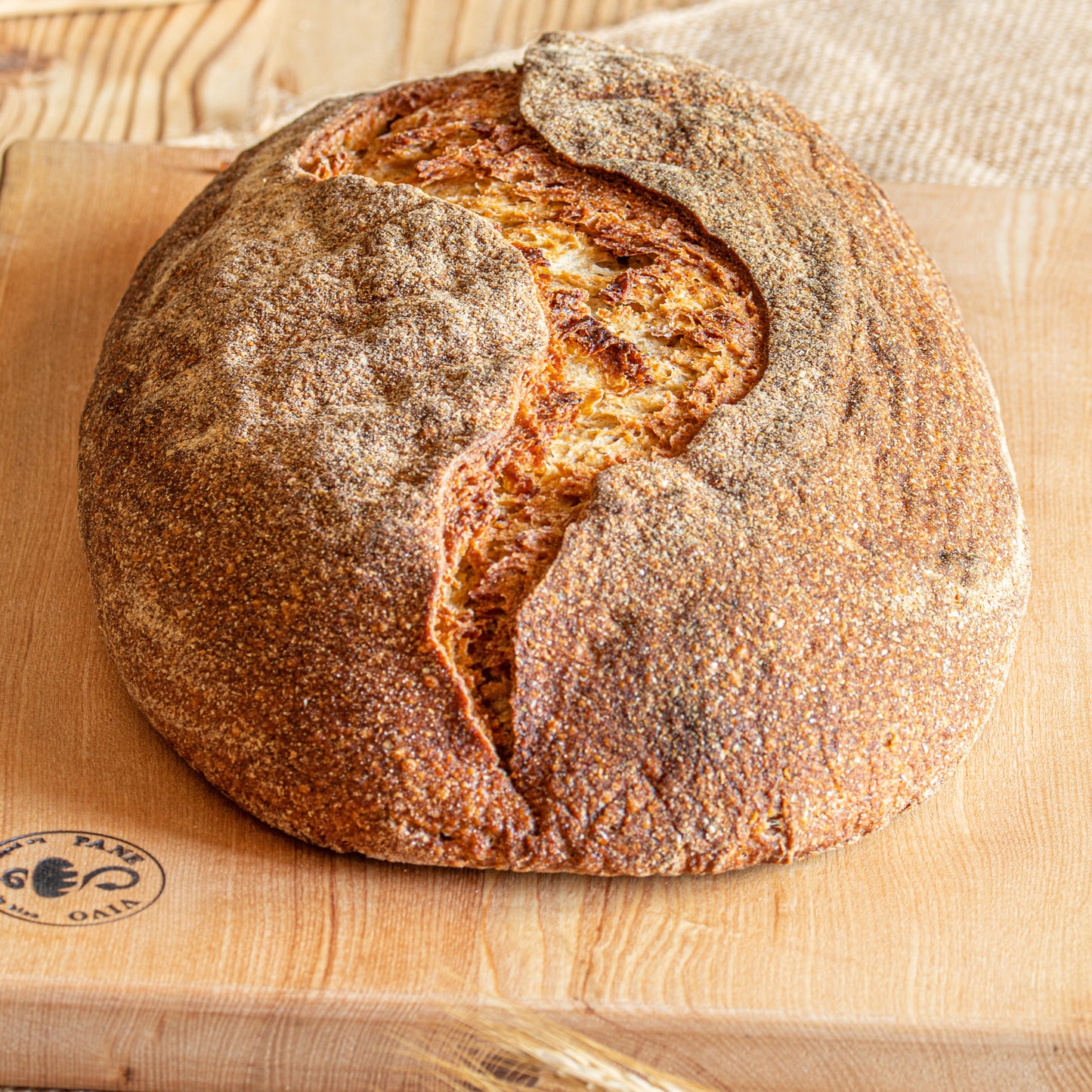 Panone, le pain de 2kg de Pane Vivo