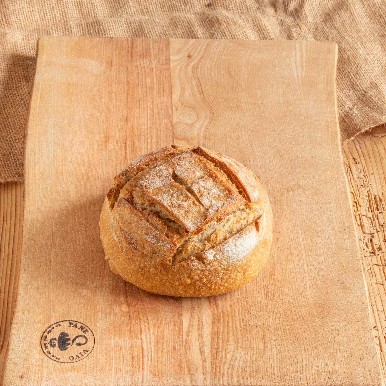 Pane Vivo : pain au blé dur ancien sur levain naturel - la boule de 400 grammes Gaïa