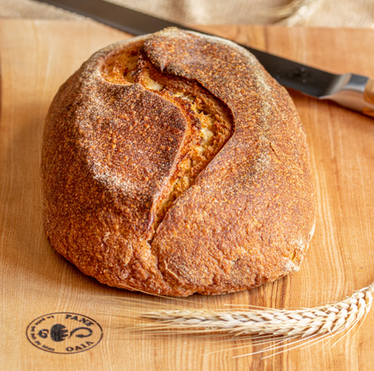 Livia et Shéhérazade