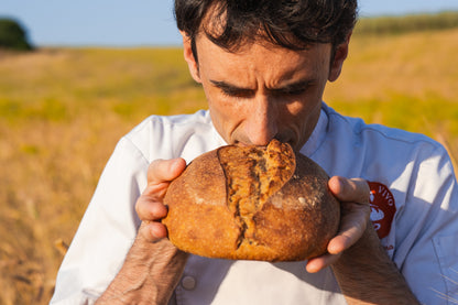 Sapiens à expédier 2kg