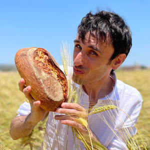 Le busiate sont réalisées à partir de la même variété de blé ancien que le pain Pane Vivo.
