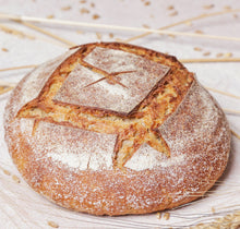 Load image into Gallery viewer, Pane Vivo : pain au blé dur ancien sur levain naturel - la boule de 400 grammes Gaïa
