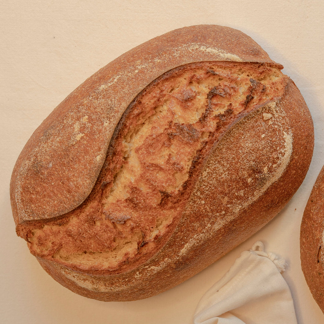 Sapiens (1 kg.)